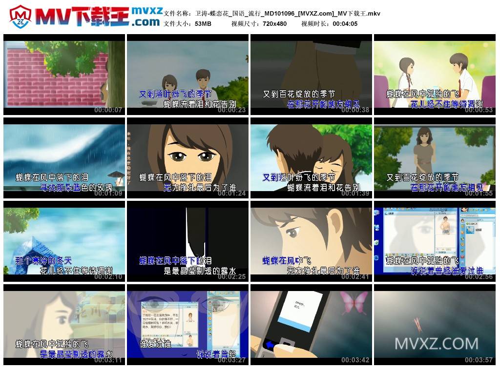 卫涛-蝶恋花_国语_流行_MD101096